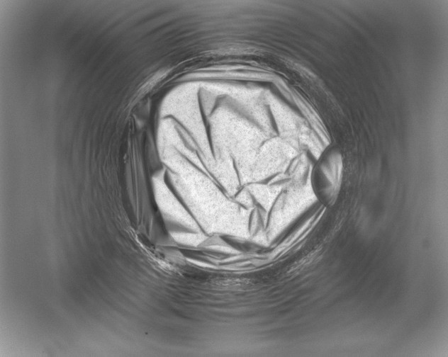 X0000052990833200508051105