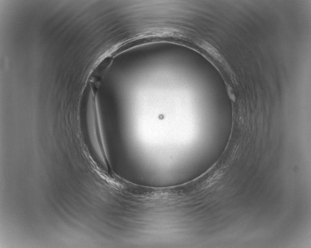 X0000052990834200508051105