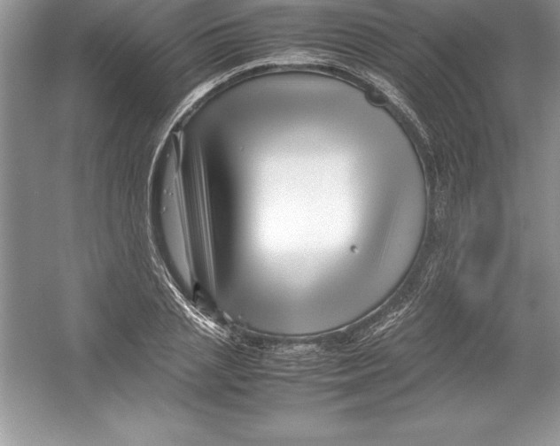 X0000052990837200508051105