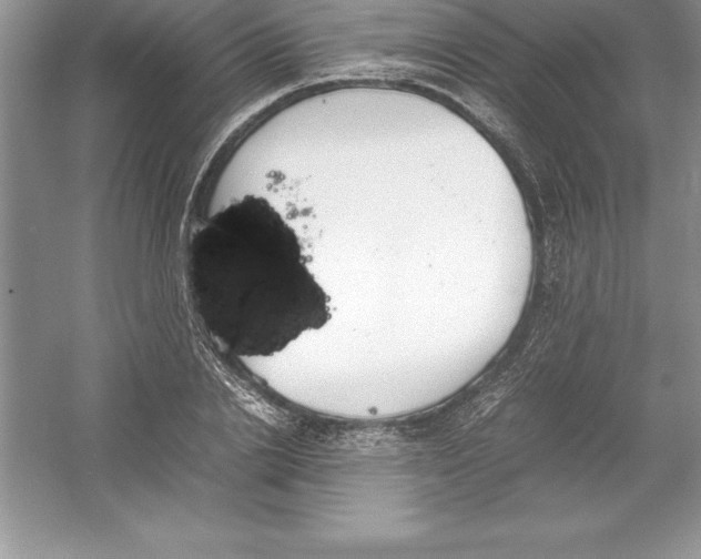 X0000052990838200508051105