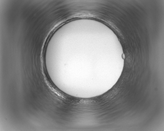 X0000052990840200508051106