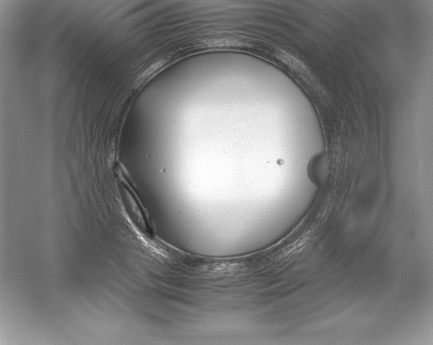 X0000052990841200508051106