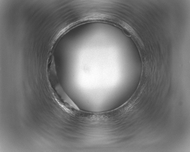 X0000052990842200508051106