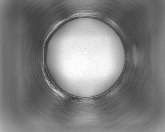 X0000052990844200508051106