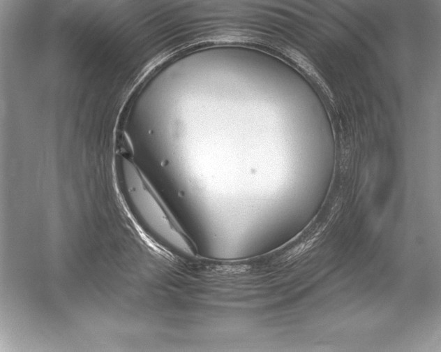 X0000052990845200508051106