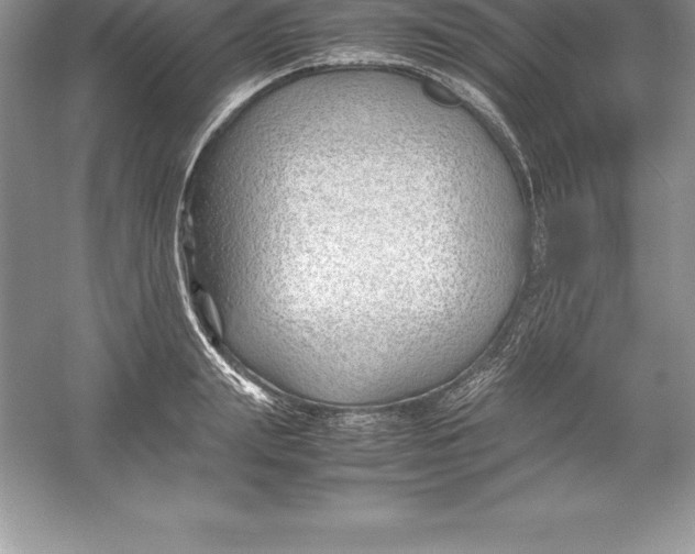 X0000052990847200508051106