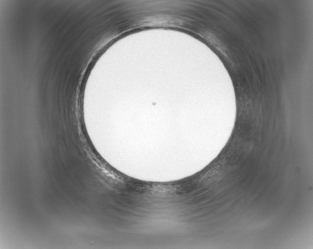 X0000052990848200508051106