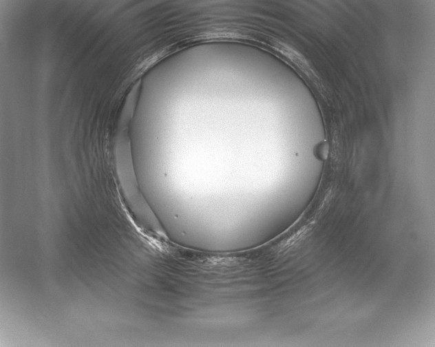 X0000052990849200508051106