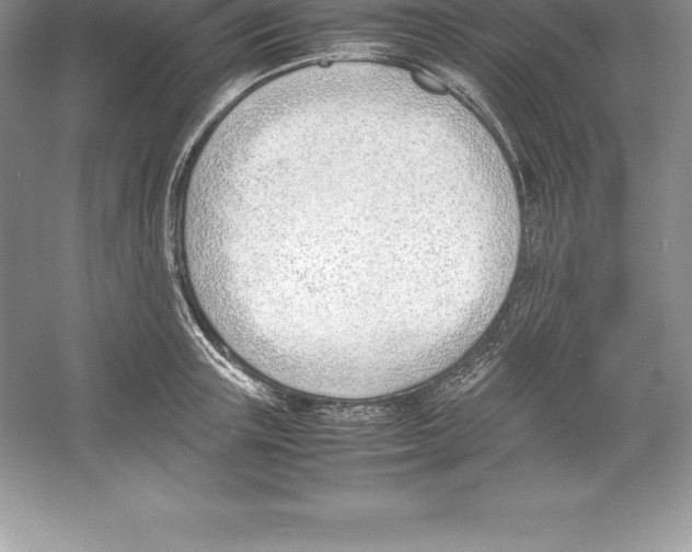 X0000052990851200508051106