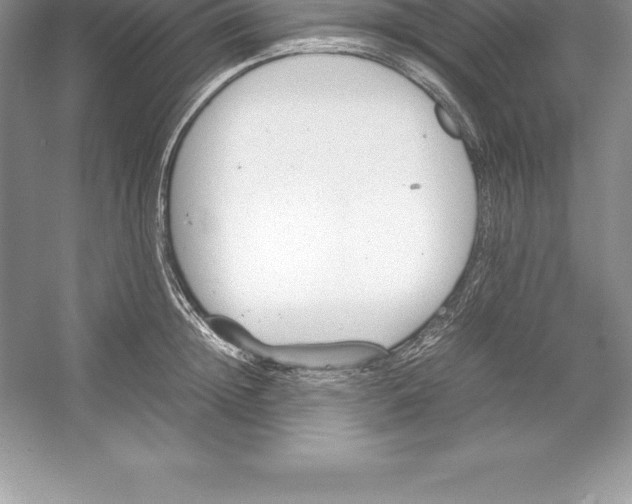 X0000052990852200508051106