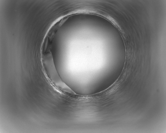 X0000052990854200508051106