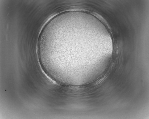 X0000052990855200508051106