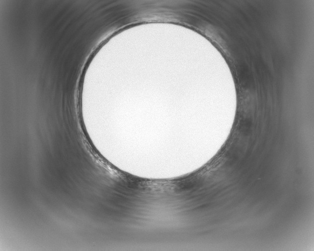 X0000052990856200508051106