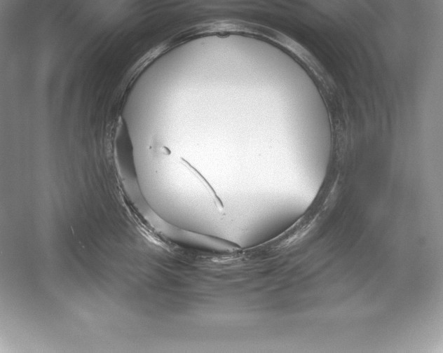 X0000052990857200508051106