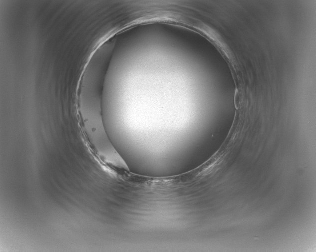 X0000052990858200508051106