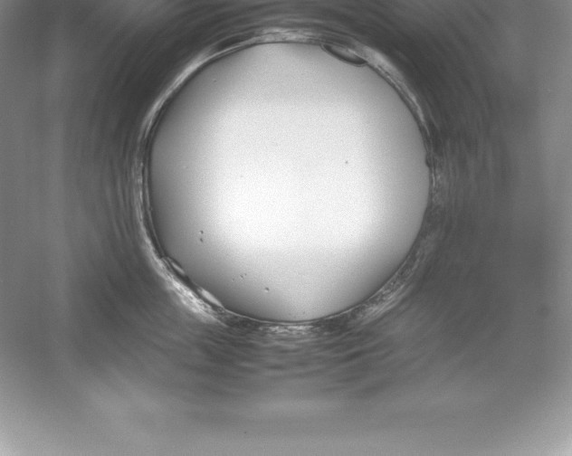 X0000052990859200508051106