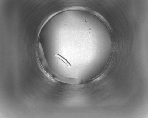 X0000052990860200508051106