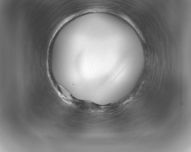 X0000052990861200508051106