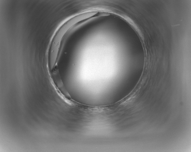 X0000052990862200508051106