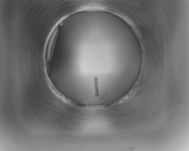 X0000052990864200508051106