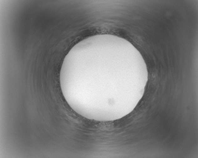 X0000052990865200508051105