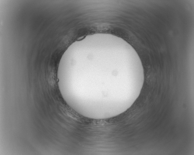 X0000052990866200508051105