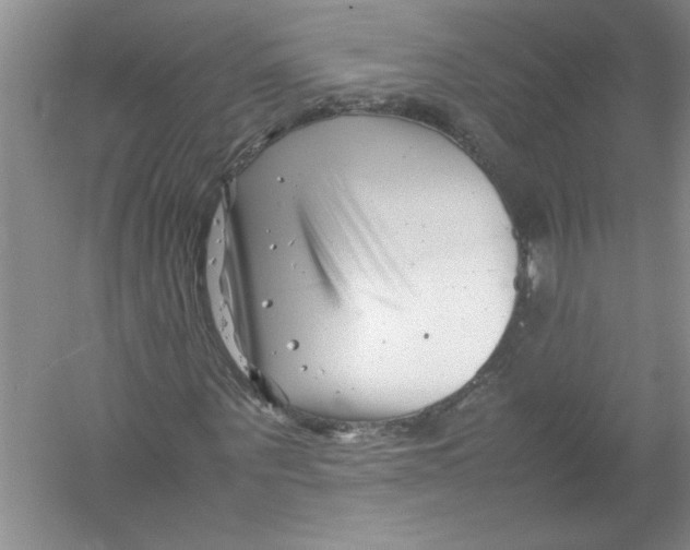 X0000052990867200508051105