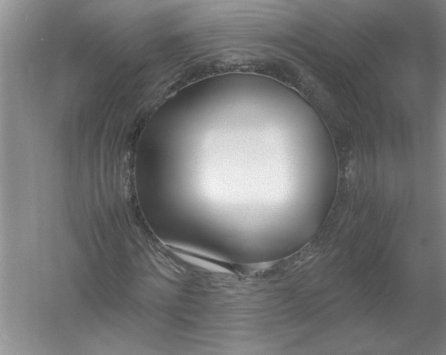 X0000052990868200508051105