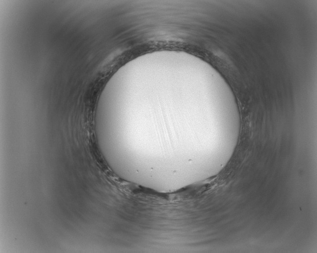 X0000052990870200508051105