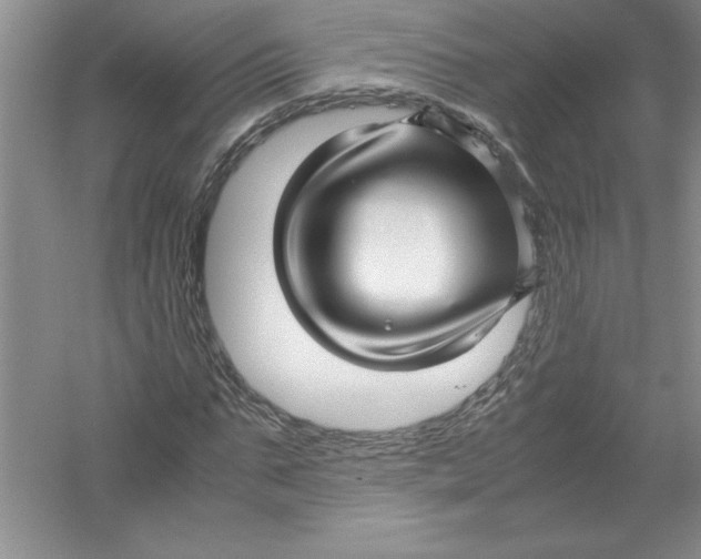 X0000052990871200508051105