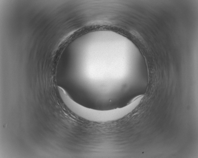 X0000052990872200508051105