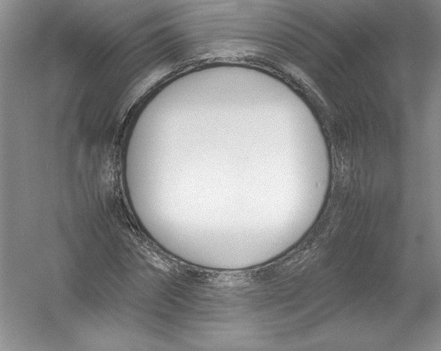 X0000052990874200508051105