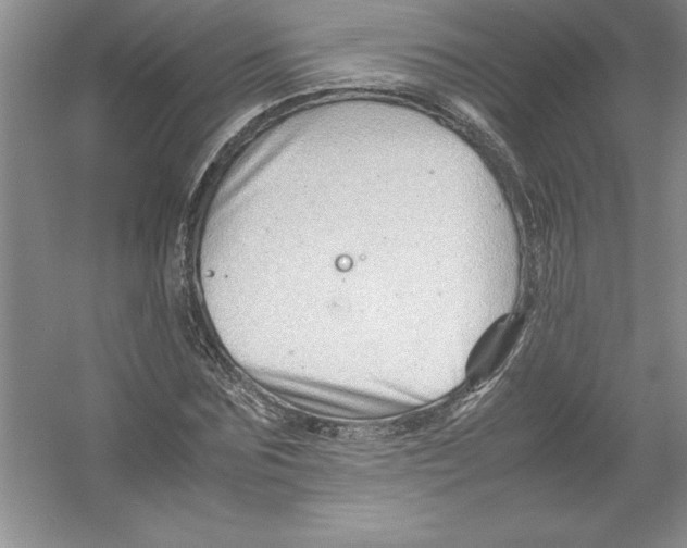 X0000052990875200508051105