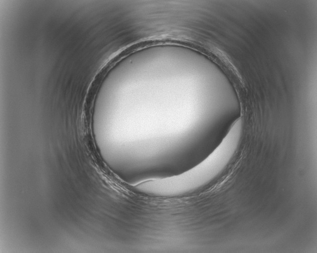 X0000052990876200508051105