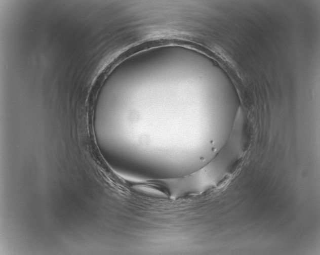 X0000052990877200508051105