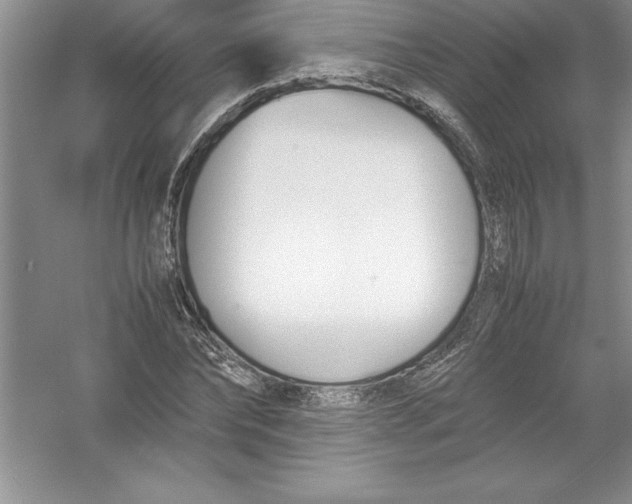 X0000052990878200508051105