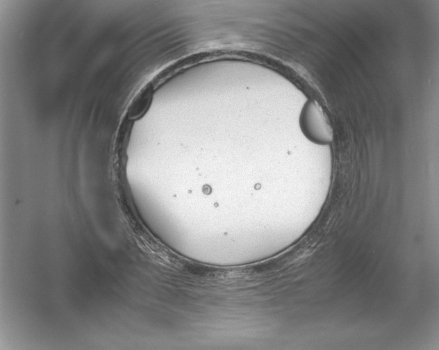 X0000052990879200508051105