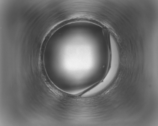 X0000052990880200508051105