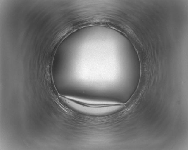 X0000052990881200508051105