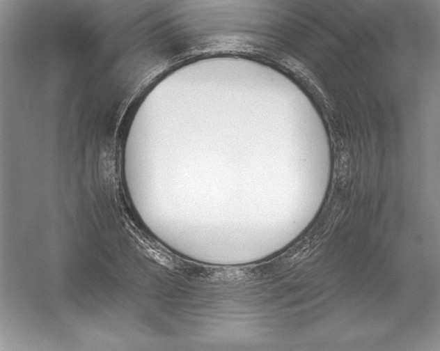 X0000052990882200508051105