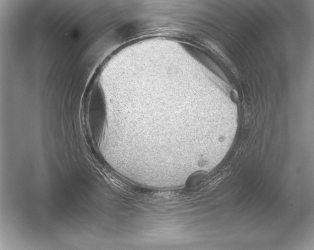 X0000052990883200508051105