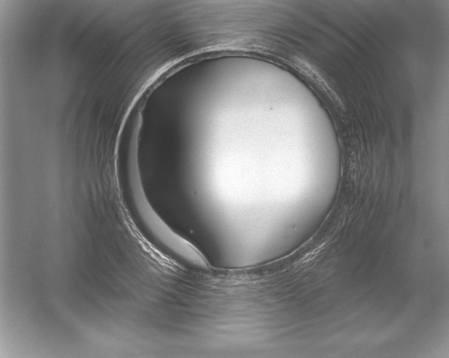 X0000052990884200508051105