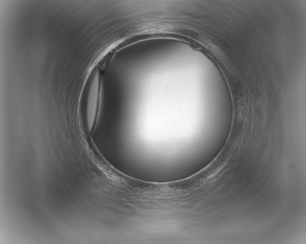 X0000052990885200508051105