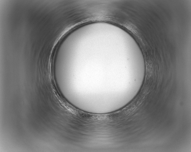 X0000052990886200508051105