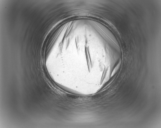 X0000052990887200508051105