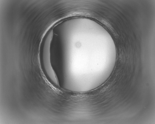 X0000052990888200508051105