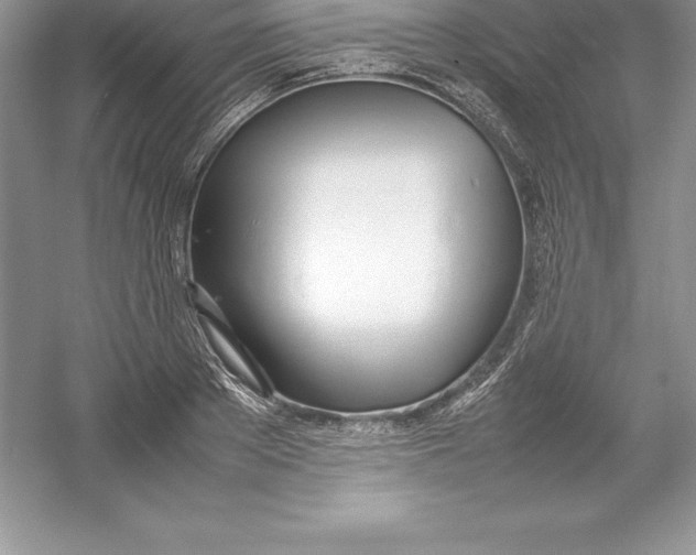 X0000052990889200508051105