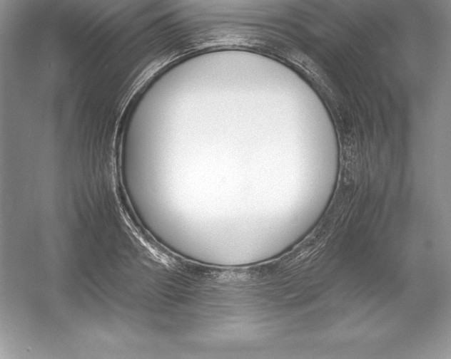 X0000052990890200508051105