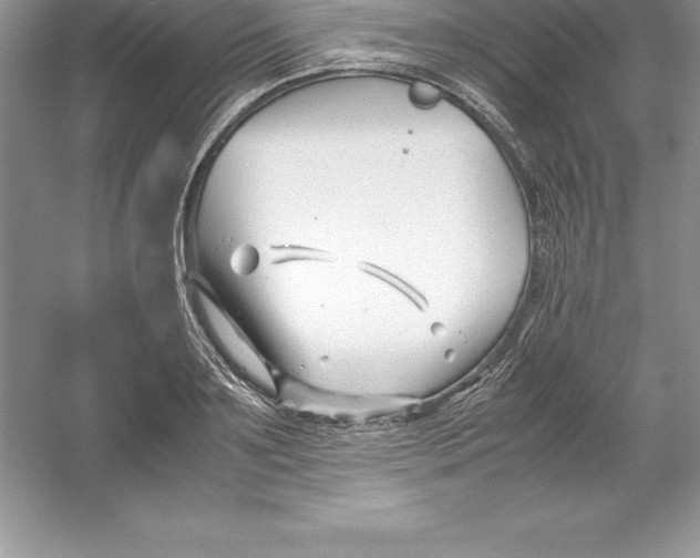 X0000052990891200508051105