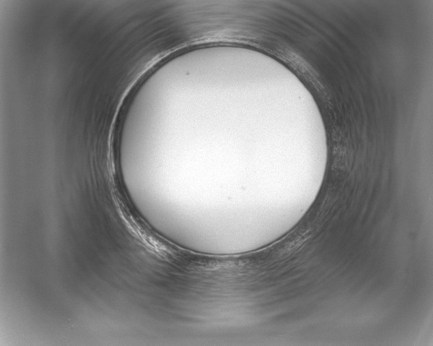 X0000052990892200508051105